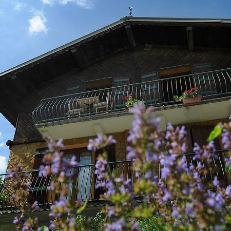 Chalet Genepi Montriond Exteriér fotografie