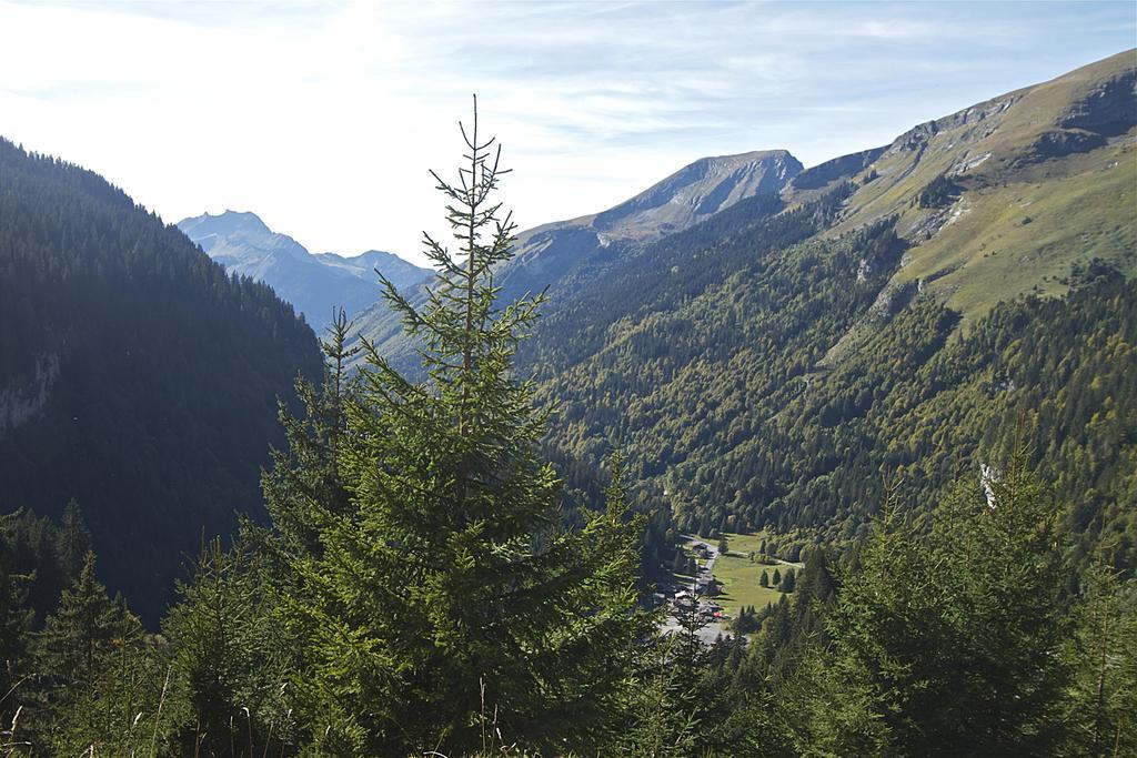 Chalet Genepi Montriond Exteriér fotografie